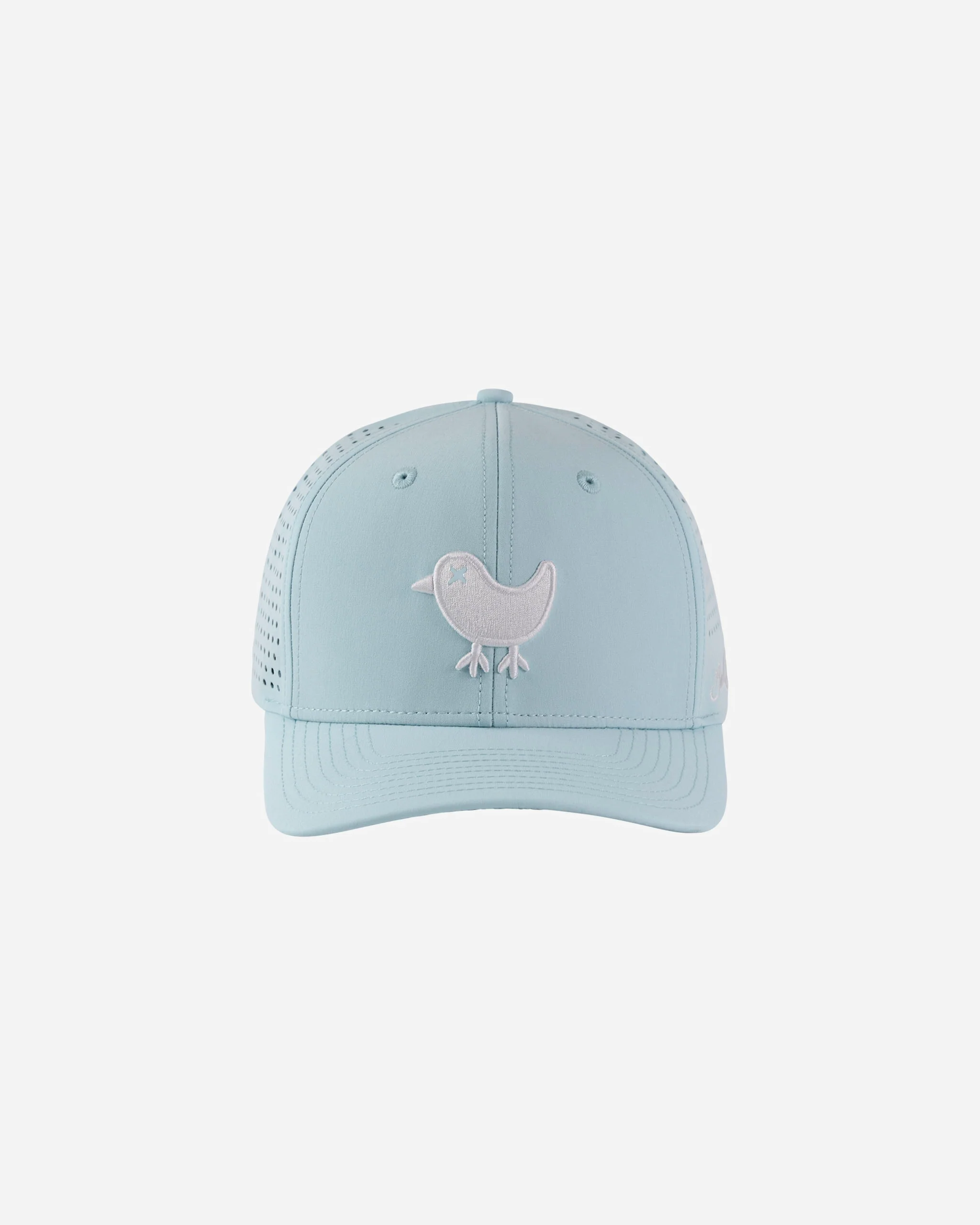 Birdie Snapback - Cool Blue